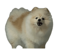 862978669