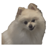 862978671