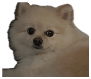 862978672