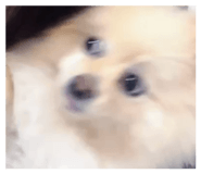 862978680
