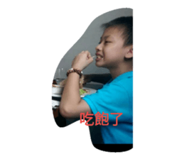 86297944