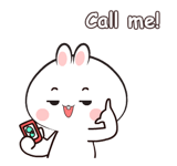 862997385