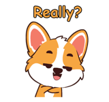 862997897