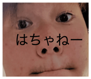 862998638