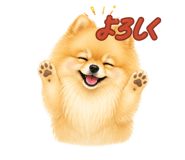 862998642