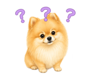 862998643