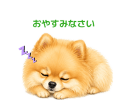 862998644