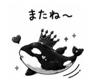 863000704
