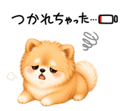 863003272