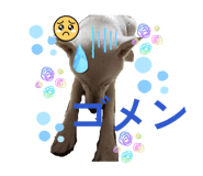 863006247