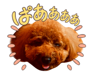 863012707