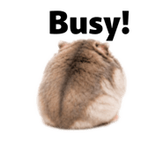 863018421