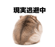 863018445