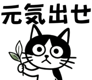 863020013