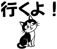 863020019