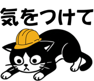 863020020