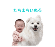 863024847