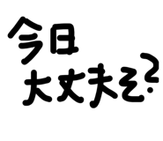 863025058