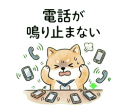 863025635