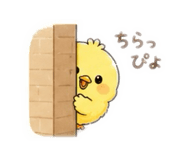 863026077