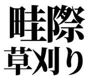 863030282