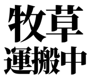 863030287