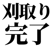 863030303