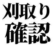 863030304