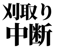 863030305