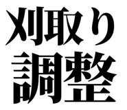 863030306