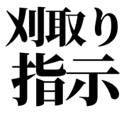 863030308