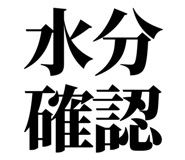 863030316