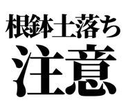 863030364