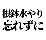 863030366