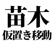 863030372