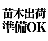 863030373