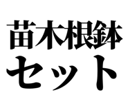 863030374