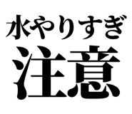 863030420