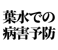 863030426
