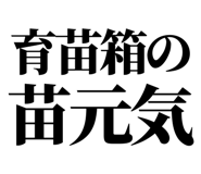 863030431