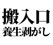 863030481