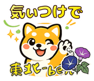 863031380