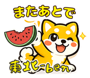 863031387