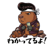 863033006