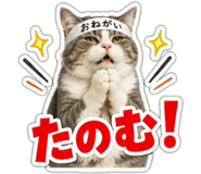 863033200