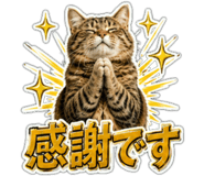 863033211