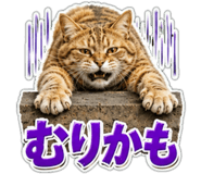 863033213