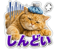 863033215