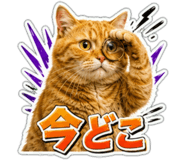 863033221