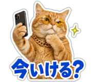 863033222